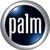 Palm 041